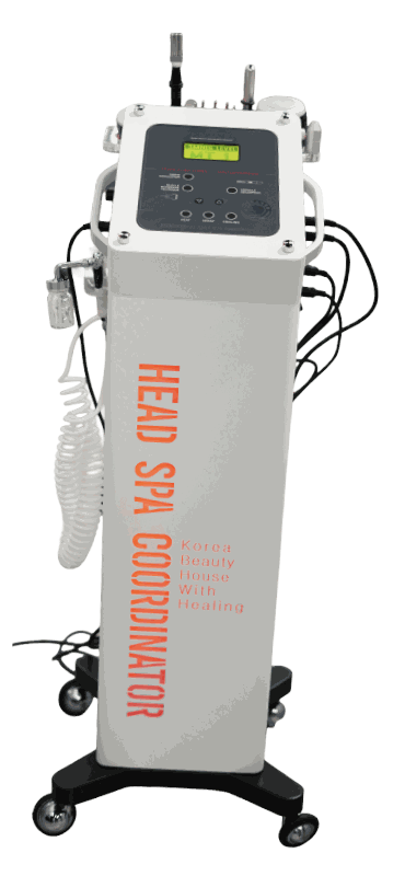 Equipo Head Spa Coordinator